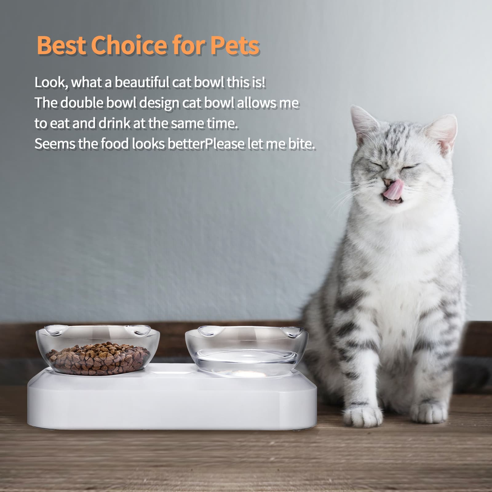 Anti-Slip Bowl (YES4PETS) view 6