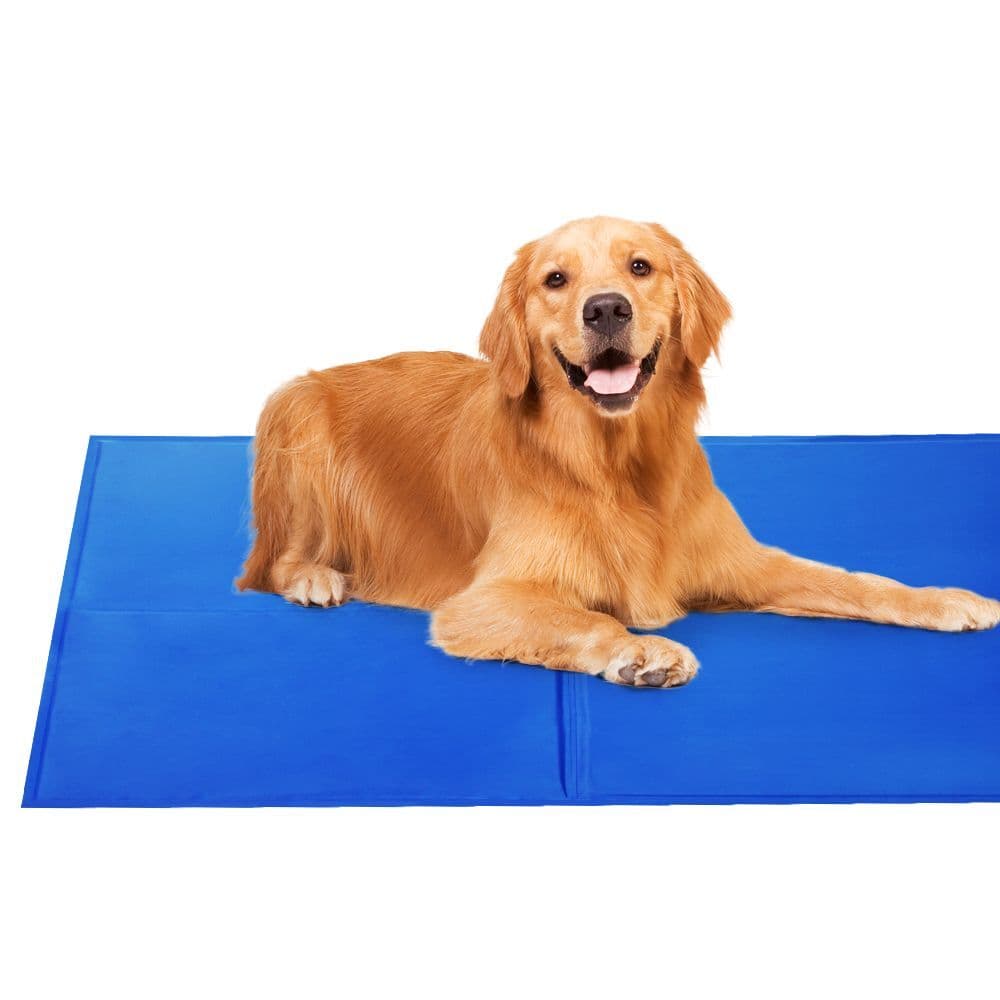 Cool Gel Mat 2 Pack, Medium