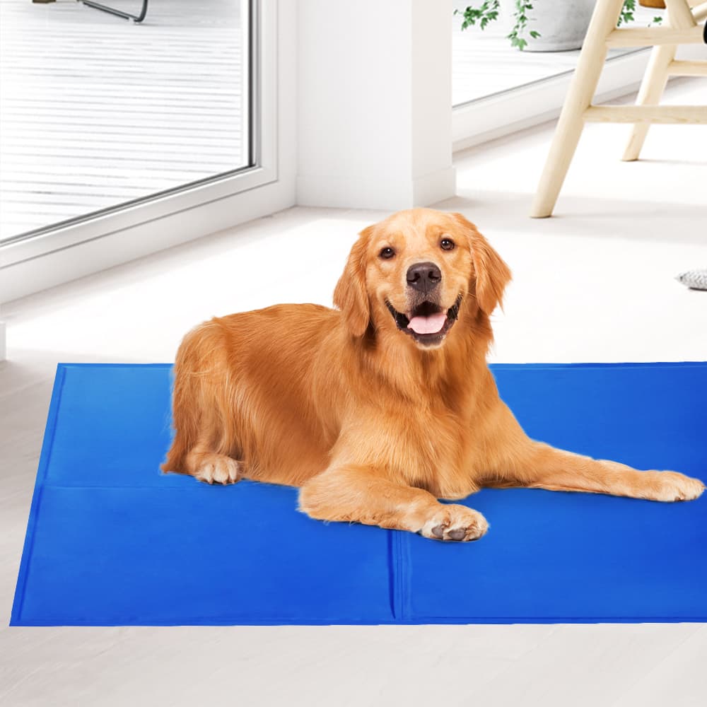 Cool Gel Mat 2 Pack, Medium view 7