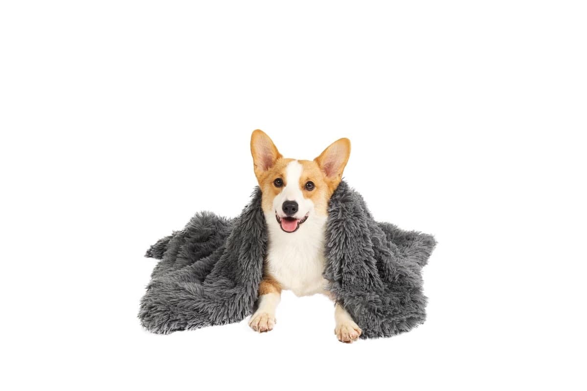 Plush Blanket, Medium