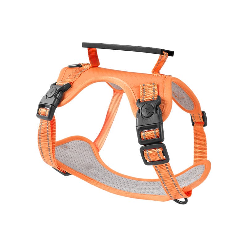 No-Pull Reflective Harness & Lead Set