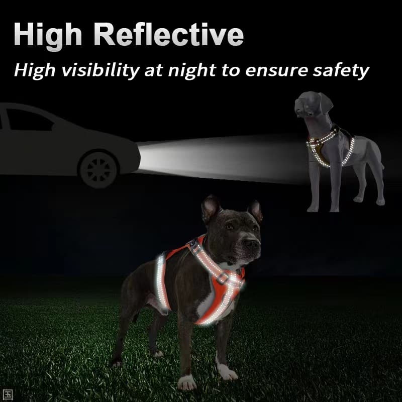 No-Pull Reflective Harness & Lead Set view 5