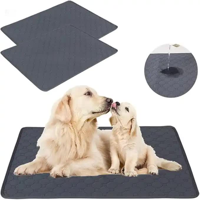 Washable Absorbent Pads, 2 Pack