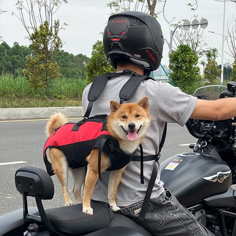 Dog Walking Backpack, Multi-Pocket view 2