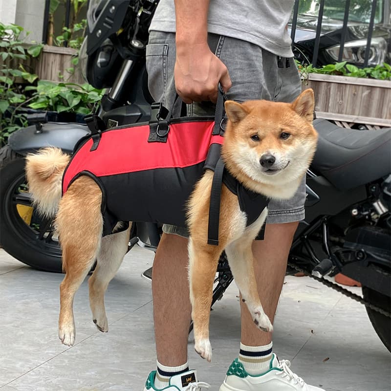 Dog Walking Backpack, Multi-Pocket view 3