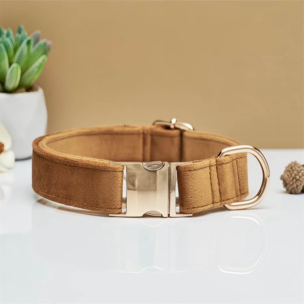 Metal-Buckle Collar