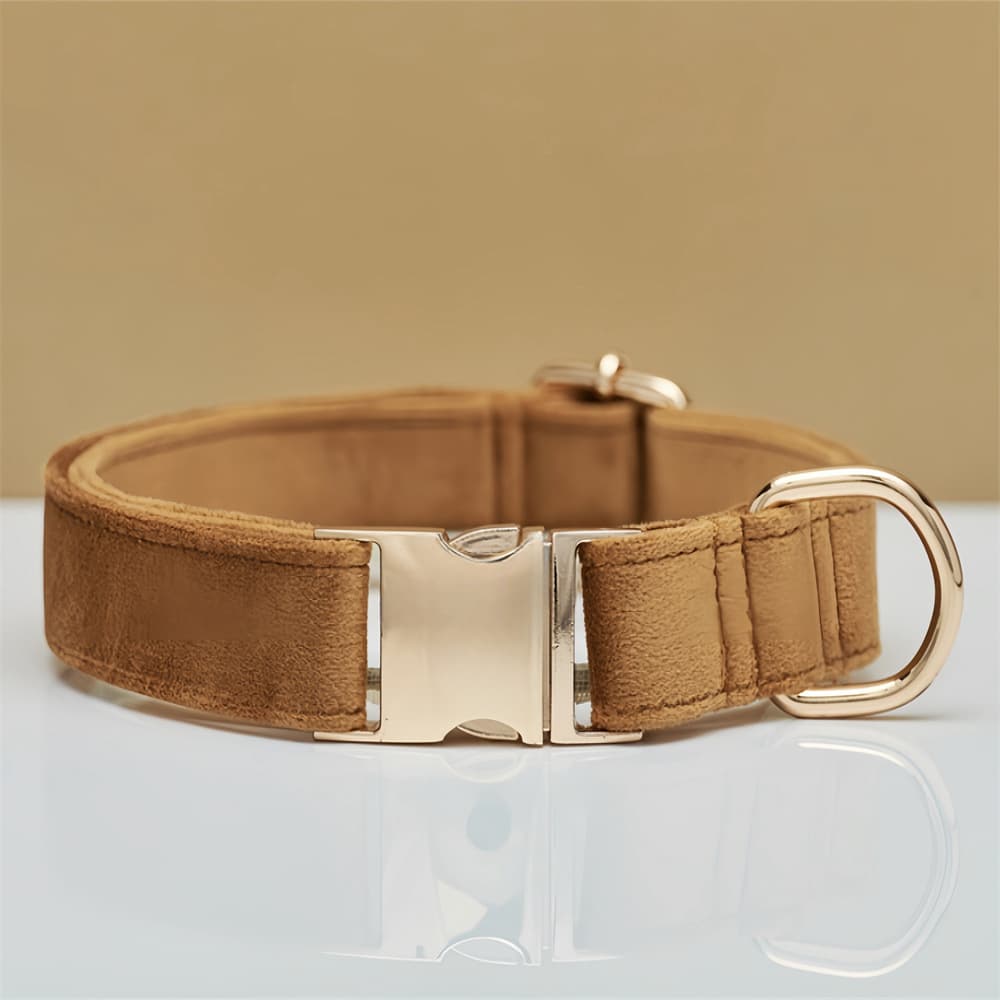 Metal-Buckle Collar view 2
