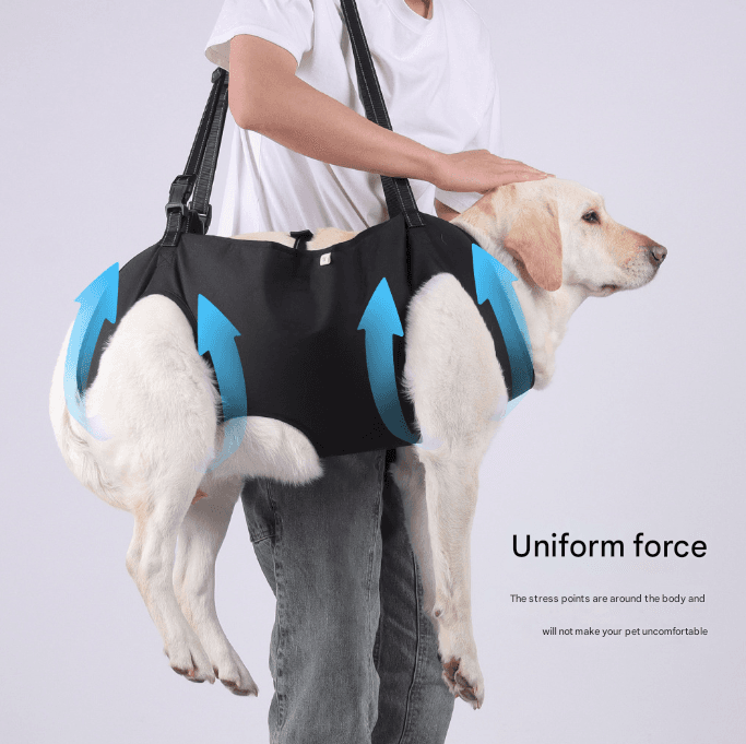 Support & Lift Harness for Senior Dogs view 2
