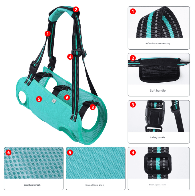 Support & Lift Harness for Senior Dogs view 3