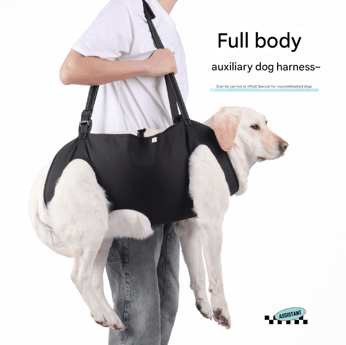 Support & Lift Harness for Senior Dogs view 5