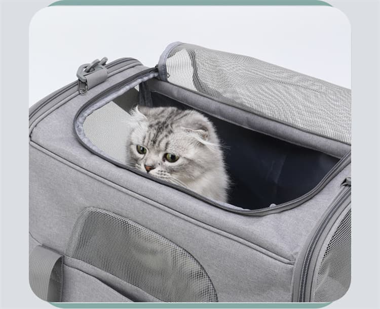 Foldable Soft Carrier, Small, Black view 5