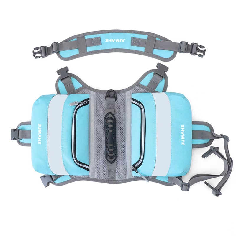 Saddle Bag Backpack