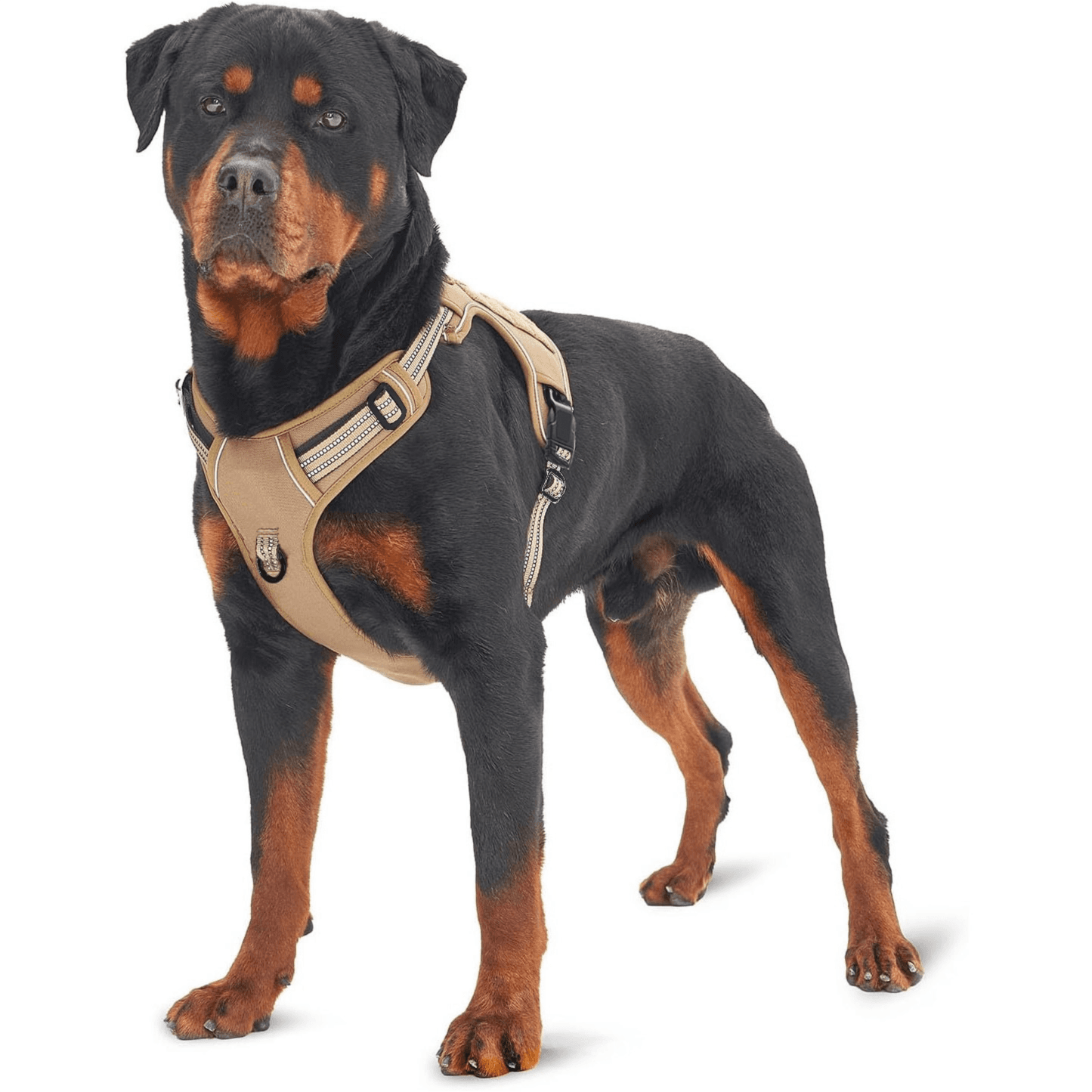 Tactical Mesh Harness, Camouflage view 2