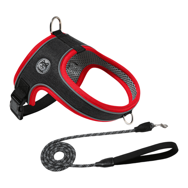 Saddle Harness & Lead Set