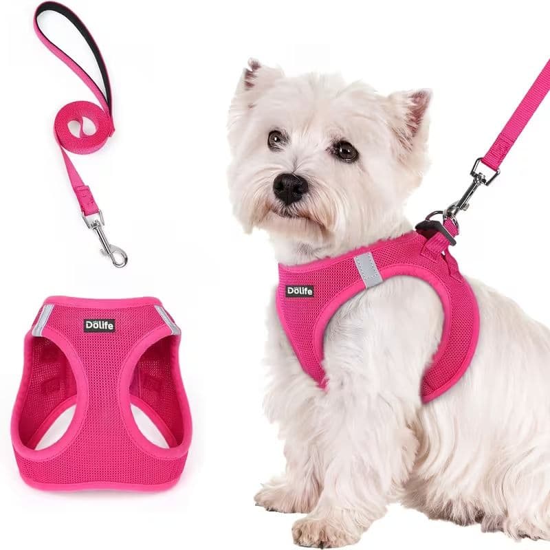 Breathable Vest Harness & Lead Set