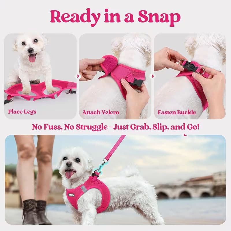 Breathable Vest Harness & Lead Set view 3
